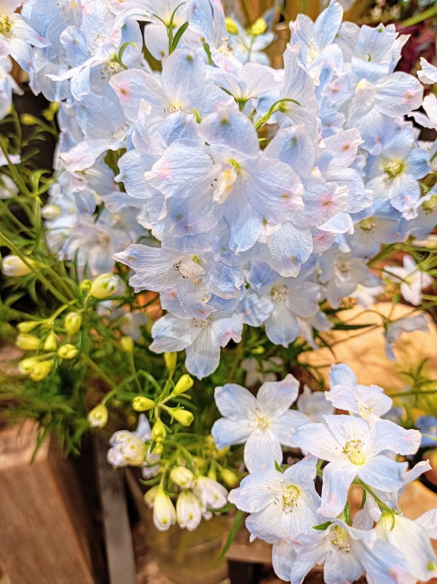 lily49547397's tweet image. 7/24 #テレワークディ…
“職場や一定場所に縛られず、何処でも仕事が出来る事を目指す”日…
「ロンドン2012オリンピック」では導入し…
日本国内でも2020年導入が推奨され…
7/24 #セルフメディケーションの日…
“セルフメディケーション”は、身体の変調等のチェック…
1週間7日、1日24Hの見立てから…