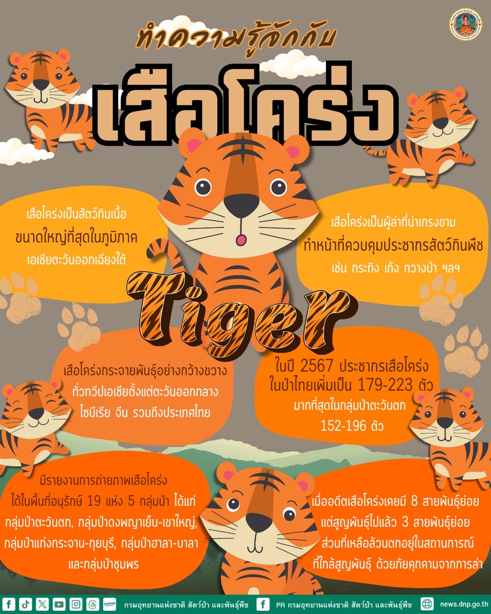 🐯ทำความรู้จักกับเสือโคร่ง

🐅 จัดกิจกรรม ในวันอังคารที่ 29 กรกฎาคม 2568 ณ โรงเรียนวัดทัพหลวง จังหวัดอุทัยธานี

ที่มา : สิ่งพิมพ์ตามรอยเสือโคร่ง , เว็บไซต์ข่าวไทยพีบีเอส 

#กรมอุทยานแห่งชาติ #วันเสือโคร่งโลก #29กรกฎาคม #GlobalTigerDay #วันเสือโคร่งโลก2568 #สัตว์ป่าคุ้มครอง #prdnp