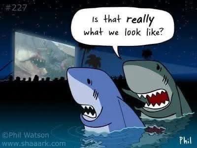 🤣💯🤘🏼🦈