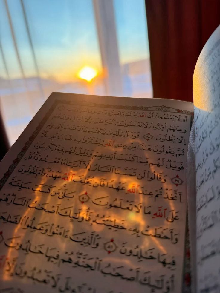 fereshte_aminy's tweet image. ـ عرض کرد:
‹ جانم به فدایت، حد و مرز توکل چیست؟ ›
+ امام رضا علیهالسلام فرمودند:
‹ اَن لاتَخافَ مَع الله اَحَداً ›
آن است که با وجود خدا از هیچکس نترسی.
..