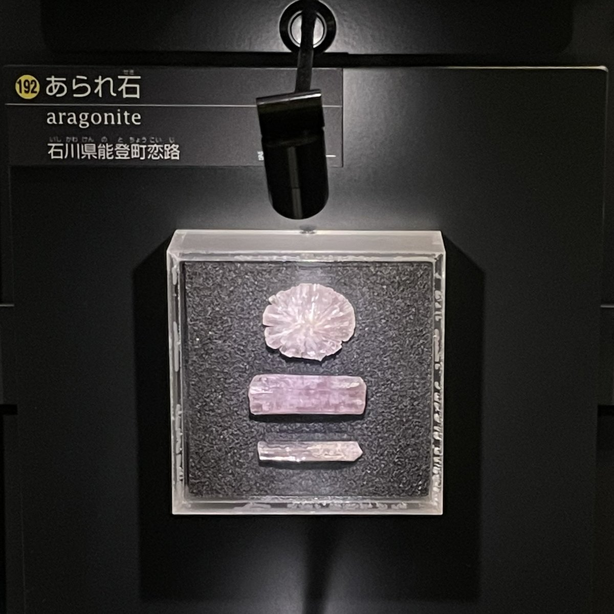 tak_collection's tweet image. 上野国立科学博物館常設展「日本館」3Fにある日本産鉱物たち
――たまたま上野で仕事だったのでその帰りに久しぶりに寄ってみました☺️ 石好きなら一度は行きたい(そして何度行っても楽しめる)展示スペースです。