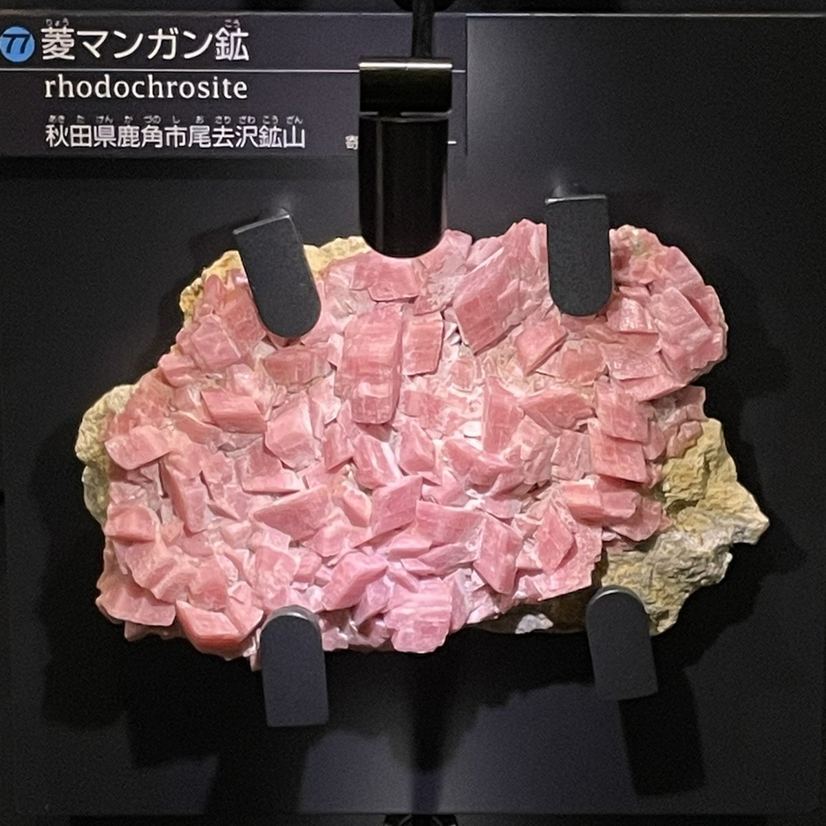 tak_collection's tweet image. 上野国立科学博物館常設展「日本館」3Fにある日本産鉱物たち
――たまたま上野で仕事だったのでその帰りに久しぶりに寄ってみました☺️ 石好きなら一度は行きたい(そして何度行っても楽しめる)展示スペースです。