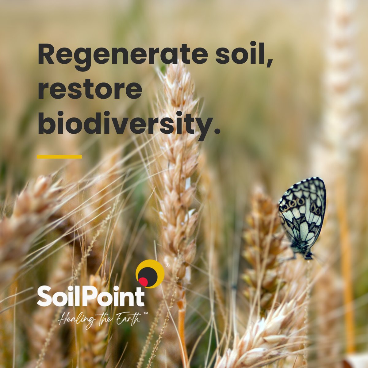 Biodiversity net gain legislation has made it mandatory for the amenities sector such as golf courses, parkland, new estates to factor in the environmental impact of their projects, pushing them to leave nature in a better state than they found it. Soil is where biodiversity