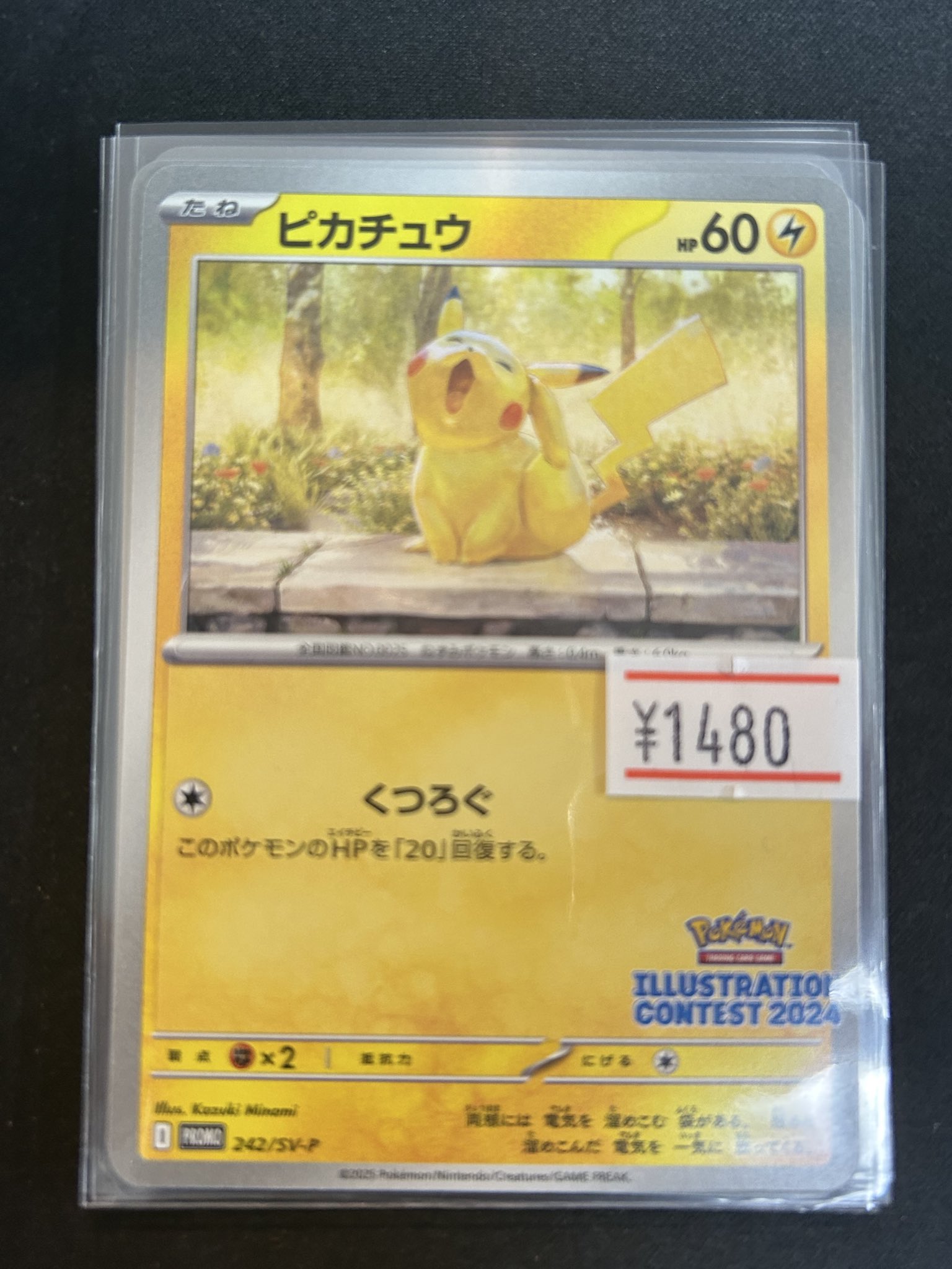 50枚超え　54枚　ピカチュウ 2024 242 ポケモンイラストレーション ポケモンカード ピカチュウ(イラストレーションコンテスト2024