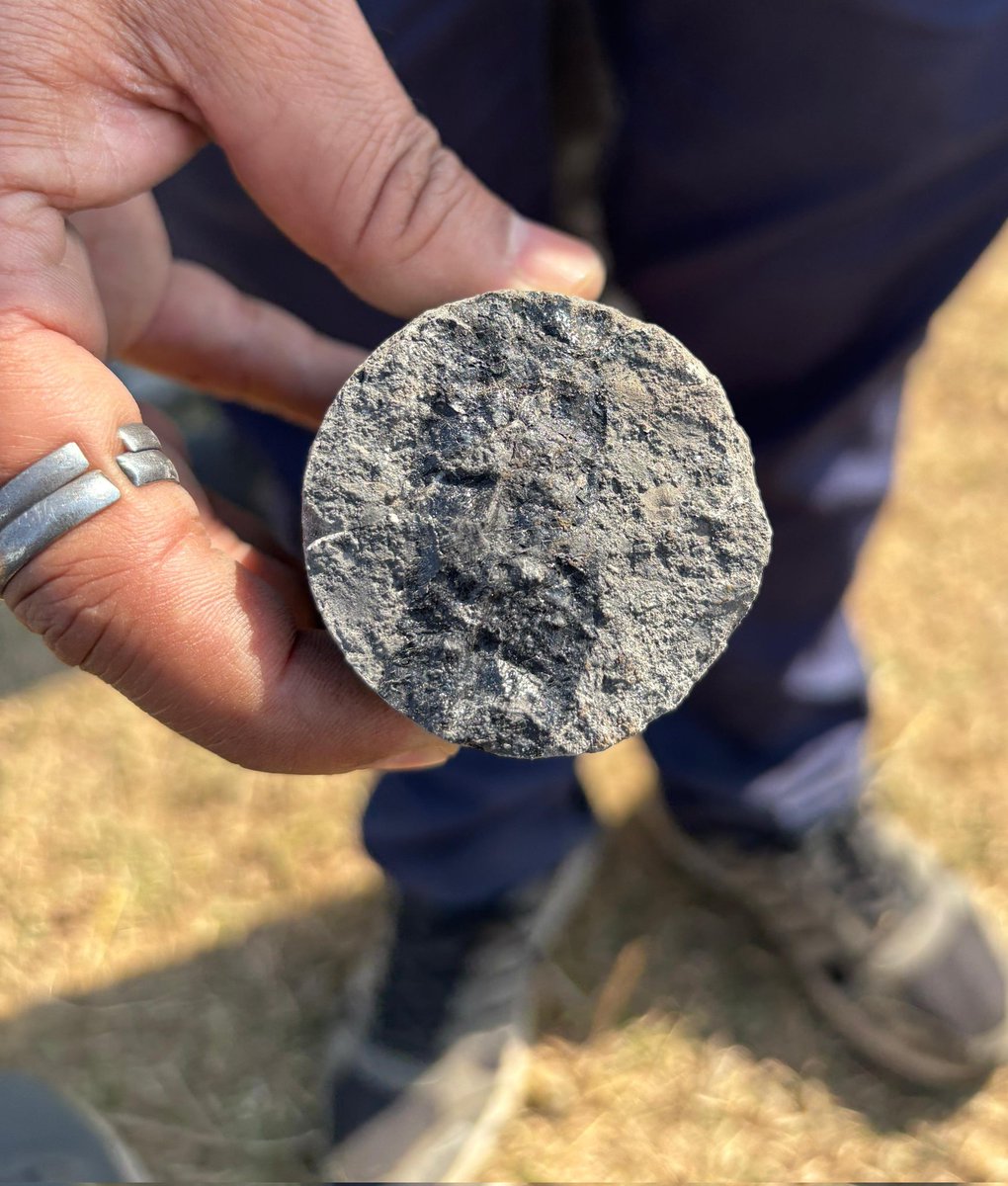 itzchampak's tweet image. Let's rewind to 300 million years ago...🧐⚒️⏮️
Possibly a #vertebraria!?
#fossil #geology #northkaranpura