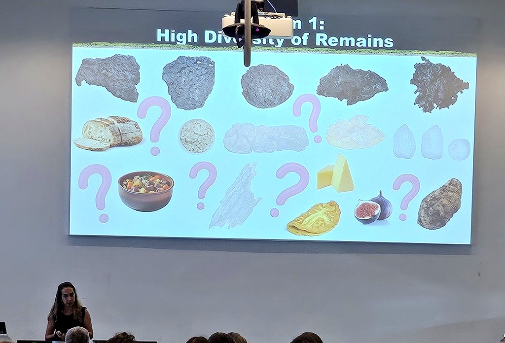 DrJenniferBates's tweet image. Food is the theme for today at #IWGP2025 in #Groningen. Terminology, standardisation, experimentation, and methods are the key takeaways. #archaeology #archaeobotany #archaeologicalscience #food
