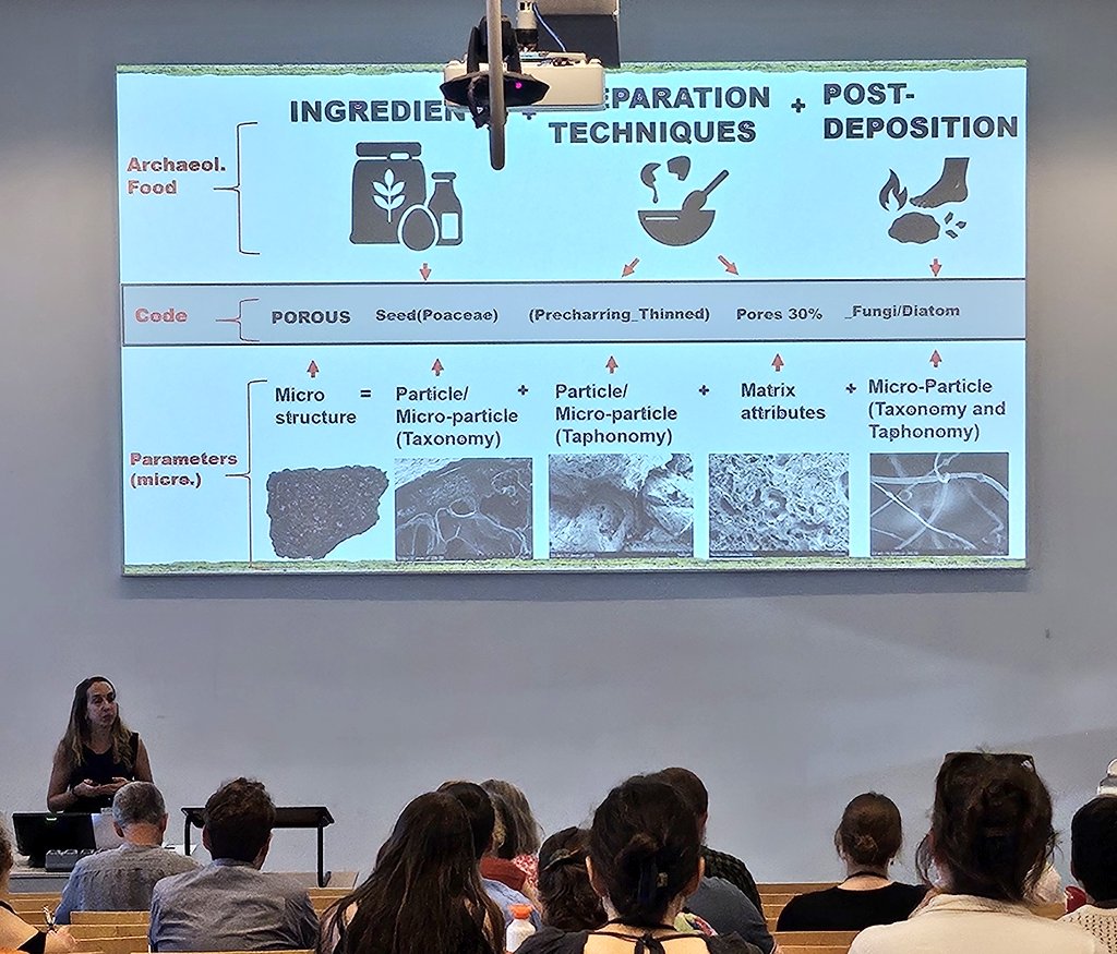 DrJenniferBates's tweet image. Food is the theme for today at #IWGP2025 in #Groningen. Terminology, standardisation, experimentation, and methods are the key takeaways. #archaeology #archaeobotany #archaeologicalscience #food