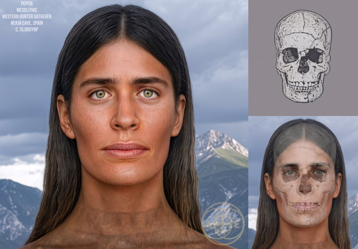 ancient_euro3's tweet image. Pepita of the Nerja Cave
Mesolithic Spain
c.10,000ybp
The Nerja Cave, located in Maro near Nerja, Spain, is a geological marvel and a significant archaeological site, stretching nearly 5 kilometers and renowned for its massive stalactites and ancient human history. Among its…