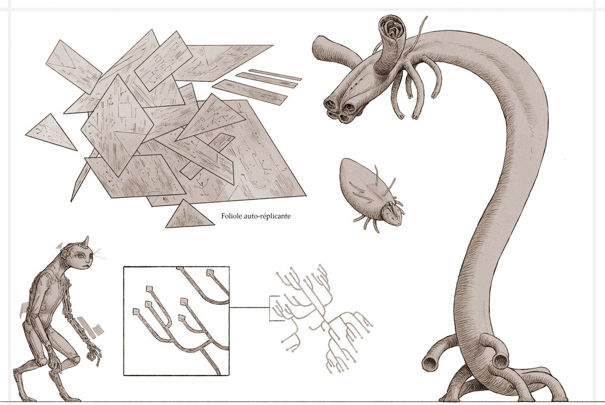 🦑SERVIOX🦑 tweet media