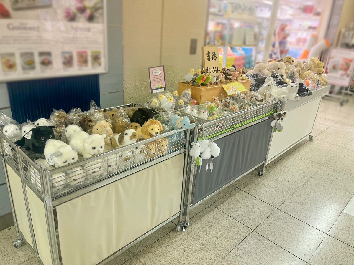 yoshitoku_plush's tweet image. 【おしらせ】
7月24日(木)〜8月6日(水)の期間中、
京王百貨店 サテライト橋本店(1,2枚目)
京王百貨店 トリエ京王調布店(3,4枚目)にて
吉徳のぬいぐるみを取り扱っていただきます🧸!
平日 10:00〜21:00
※最終日は17:00までとなります
ぜひお立ち寄りください〜☺️☁️
