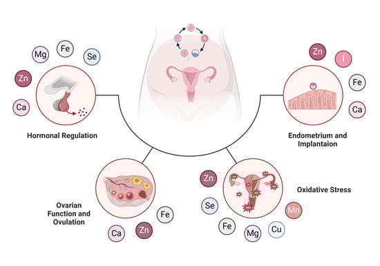 Nutrients_MDPI's tweet image. 📖Paper Title: Minerals and the Menstrual Cycle: Impacts on Ovulation and Endometrial Health 
by  Celine Kapper and  Peter Oppelt et al.
🛎️Article Views 25915 ; Citations 12
link: mdpi.com/2072-6643/16/7…