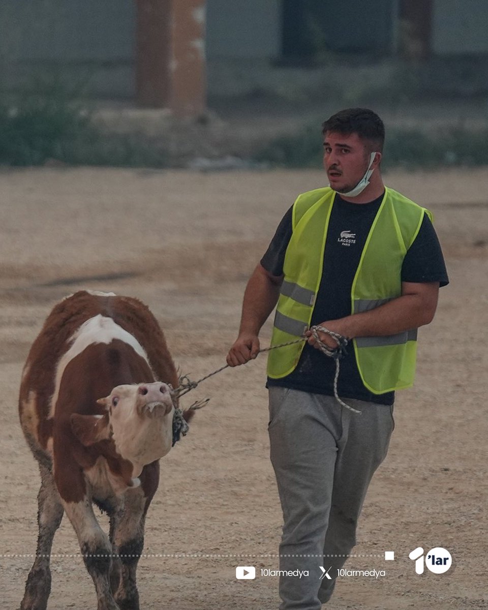 10larMedya's tweet image. Eskişehir’deki orman yangınına müdahale sırasında alevlerin arasında kalan 11 orman işçisi şehit oldu.
📌 Yurdun çeşitli bölgelerinde çıkan orman yangınlarına müdahaleler devam ediyor