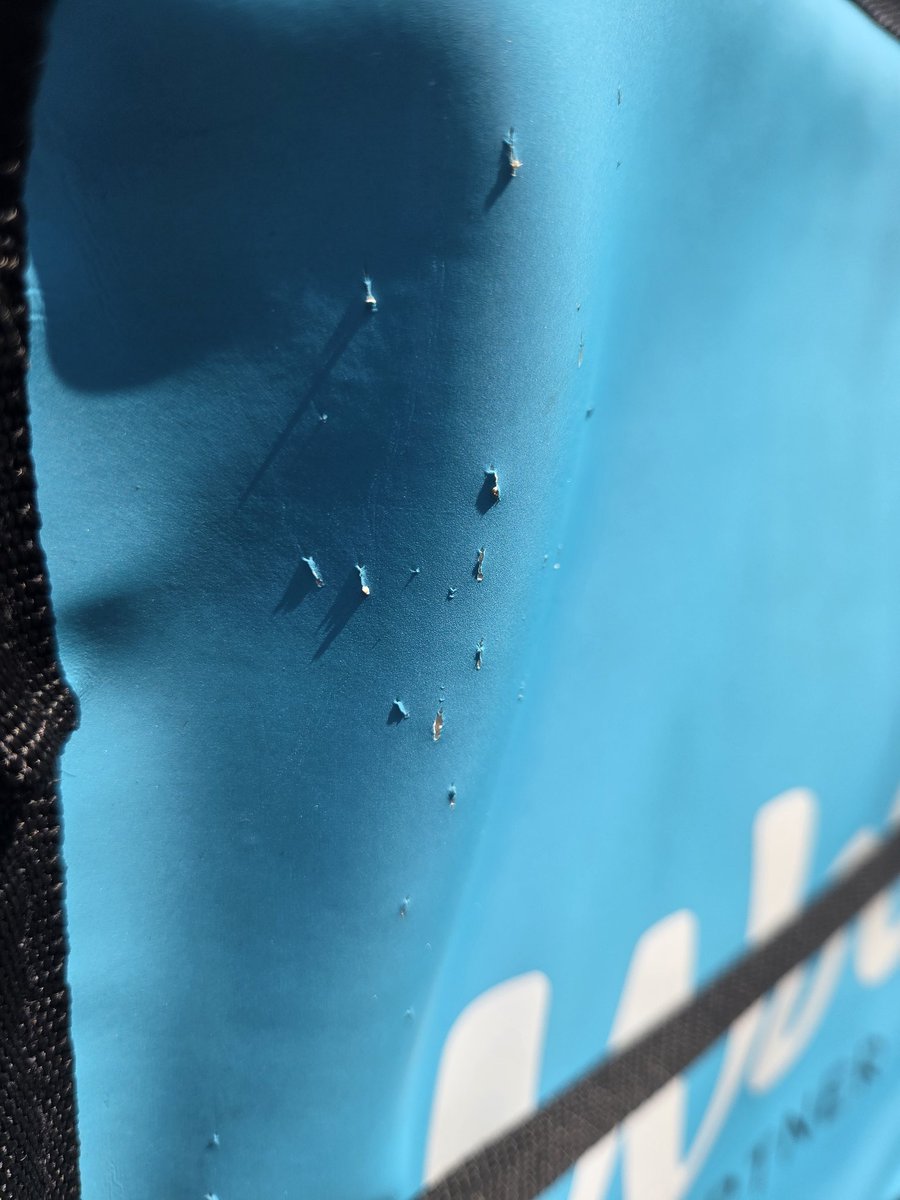 なんだこの傷…見たことある…懐かしい………ニャーの爪とぎだ！