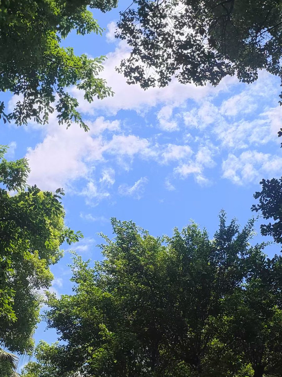 这般澄澈又绚烂的天空，怎能不多给几眼深情的注视？#大美中国