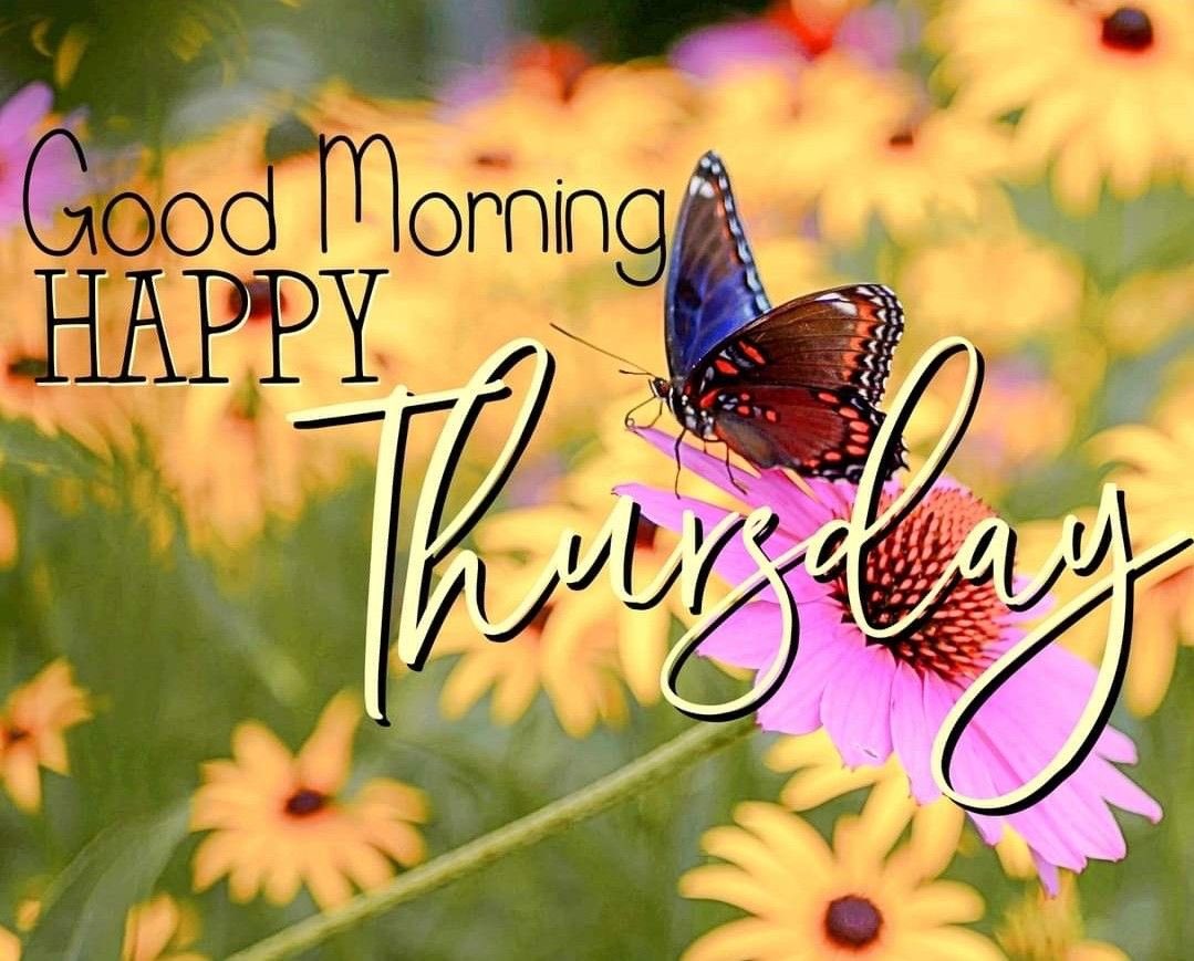 ð¹Dianeð¹ (@dianeelqueen) on Twitter photo <a href="/DreamyTechGirl/">DreamyTechGirl ðºðŠð</a> <a href="/TlayAnl1903/">TÃŒLð
°ïžy</a> <a href="/V13lula/">Karen Lúciaâïžð©ðµ</a> <a href="/nbea_h/">#ðŸððððð±ðððððð #ð¿ððð±ðððððð</a> <a href="/Aa_ban1/">âïž» #TmGriffinsðŠ
ïž»â</a> <a href="/Mrk4786/"> ððšð§ð®(ââ¿-)â</a> <a href="/thejoker4624/">Rebs Fan and Reagan Conservative</a> <a href="/Zar_43/">ZARRAR ضرار #ÎáªBÎЯQâ¡@ððð§_ð°ð¯</a> <a href="/kn_jui/">Bakht Zadaðµð°fð¯</a> <a href="/ZxCjs10/">ð¥CÌ·JÌ·âŽâïž</a> <a href="/MarcelaErcia/">ðMARCEðâ #MarceTeAyudað®#MarceLiveð Meme y Popi</a> <a href="/bhatnagarp27/">ðð§ððšððð£ð© ðœððð©ð£ðððð§ð</a> <a href="/fabi8879/">Fabiana</a> <a href="/dreams_Bcn/">૮૚iજƬiàžÎ± îš #Mᥲɟ᥎ᥱTᥱAá§á¥á¯á¥²ð®</a> <a href="/StevenWate91203/">Tesla Dude</a> <a href="/ranasilvia63/">Luna OM</a> <a href="/TheFloridaMike/">Florida Mike: VanceRubio2028</a> <a href="/Sophia56891/">Sophia</a> <a href="/KingMakerIQ/">KingMaker$Enterprises</a> <a href="/daniciello/">Dani Ciello</a> <a href="/duda3390/">Duda</a> <a href="/ricphy2/">ricphy</a> Thanks so much Dreamy ð©·ðŒð©·ðŒð©· <a href="/DreamyTechGirl/">DreamyTechGirl ðºðŠð</a> <a href="/TlayAnl1903/">TÃŒLð
°ïžy</a> <a href="/V13lula/">Karen Lúciaâïžð©ðµ</a> <a href="/nbea_h/">#ðŸððððð±ðððððð #ð¿ððð±ðððððð</a> <a href="/Aa_ban1/">âïž» #TmGriffinsðŠ
ïž»â</a> <a href="/Mrk4786/"> ððšð§ð®(ââ¿-)â</a> <a href="/thejoker4624/">Rebs Fan and Reagan Conservative</a> <a href="/Zar_43/">ZARRAR ضرار #ÎáªBÎЯQâ¡@ððð§_ð°ð¯</a> <a href="/kn_jui/">Bakht Zadaðµð°fð¯</a> <a href="/ZxCjs10/">ð¥CÌ·JÌ·âŽâïž</a> <a href="/MarcelaErcia/">ðMARCEðâ #MarceTeAyudað®#MarceLiveð Meme y Popi</a> <a href="/bhatnagarp27/">ðð§ððšððð£ð© ðœððð©ð£ðððð§ð</a> <a href="/fabi8879/">Fabiana</a> <a href="/dreams_Bcn/">૮૚iજƬiàžÎ± îš #Mᥲɟ᥎ᥱTᥱAá§á¥á¯á¥²ð®</a> <a href="/StevenWate91203/">Tesla Dude</a> <a href="/ranasilvia63/">Luna OM</a> <a href="/TheFloridaMike/">Florida Mike: VanceRubio2028</a> <a href="/Sophia56891/">Sophia</a> <a href="/KingMakerIQ/">KingMaker$Enterprises</a> <a href="/daniciello/">Dani Ciello</a> <a href="/duda3390/">Duda</a> <a href="/ricphy2/">ricphy</a> Thanks so much Dreamy ð©·ðŒð©·ðŒð©·
