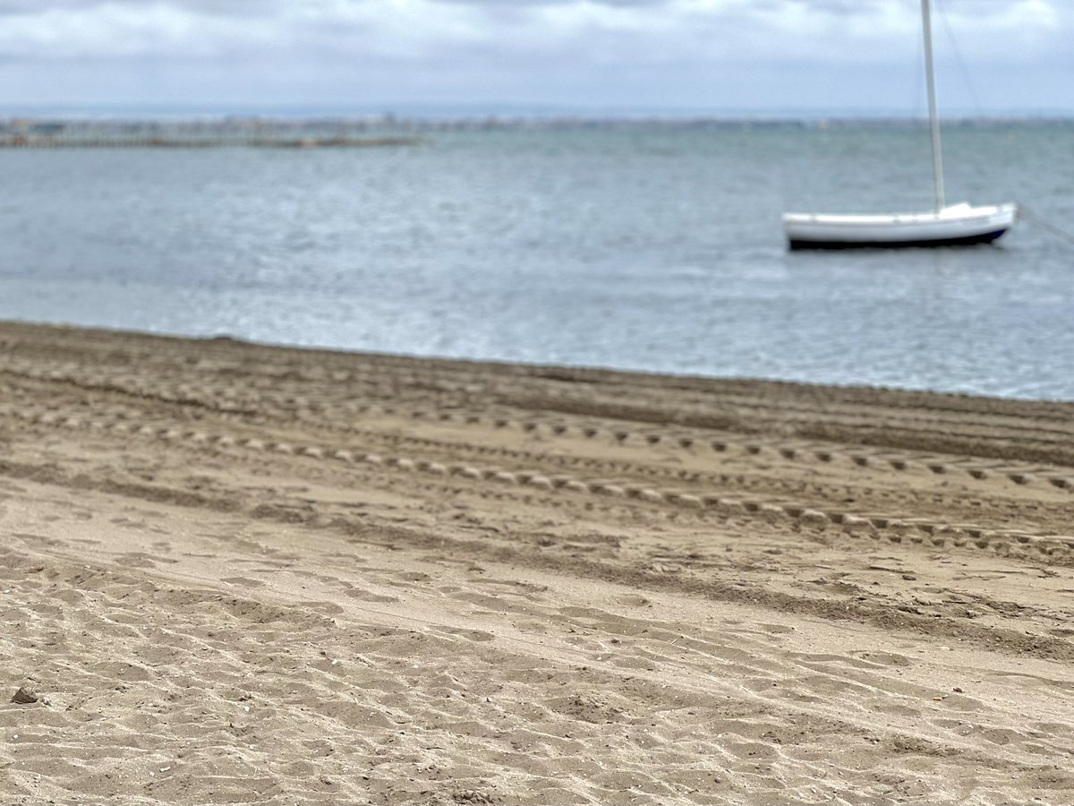 LordYisus95's tweet image. POR FIN UNA TREGUA DE CALOR😍
¡Qué buena mañana hace! Está nublado, creo que va a llover hoy o mañana y hace aire🥹
Madre mía, qué gusto y como he disfrutado el paseo el hoy🥰
Buenos días familia! Vamos a por el jueves💜