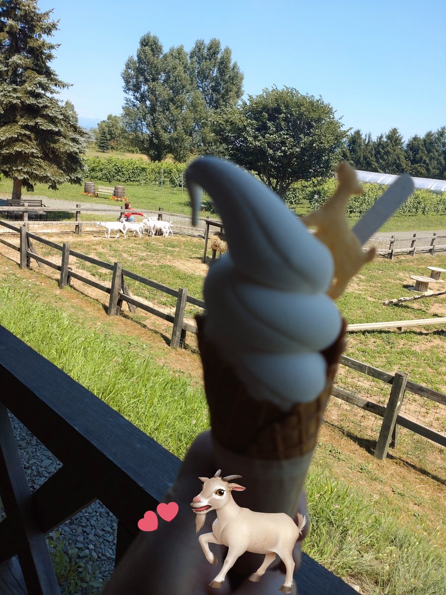 ヤギソフトクリーム美味しかった🍦
ヤギも触れ合えて可愛かった🤍🐐
