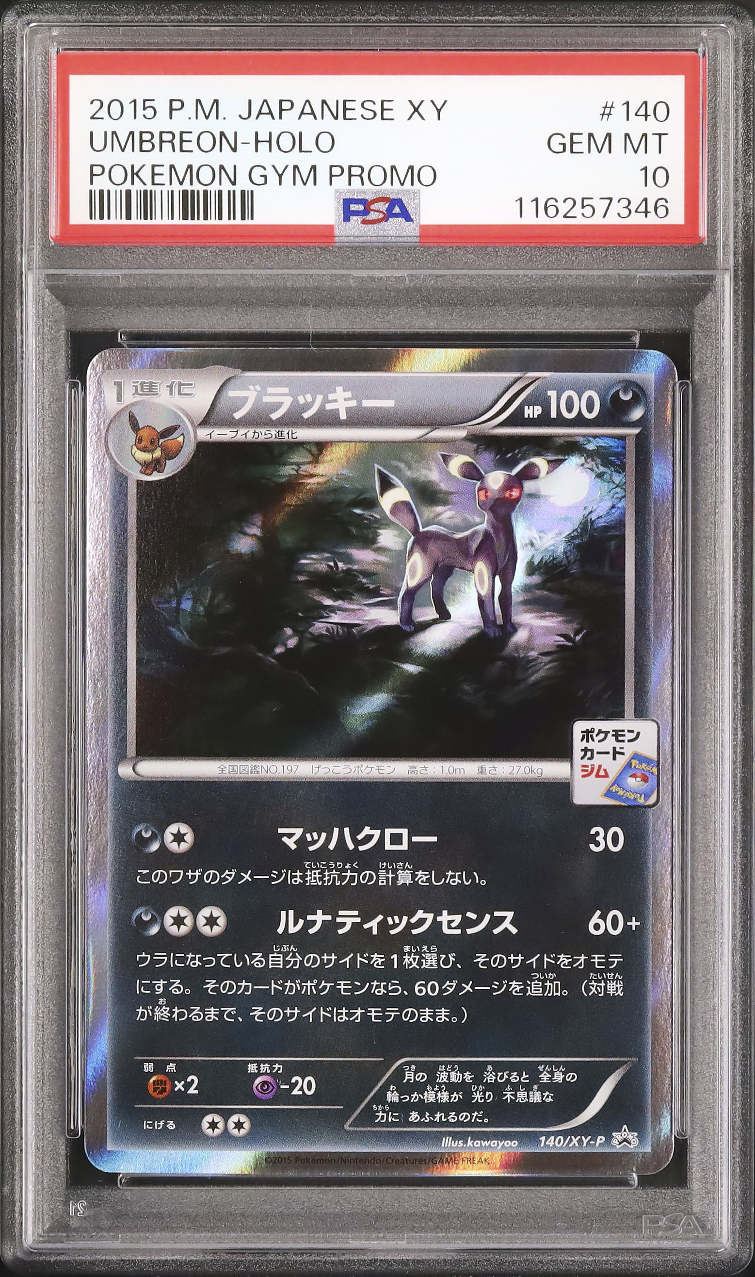 ポケモン - ポケモンカード　ブラッキーナイトバトル ポケモンカードジム ブラッキーナイトバトル | イベント