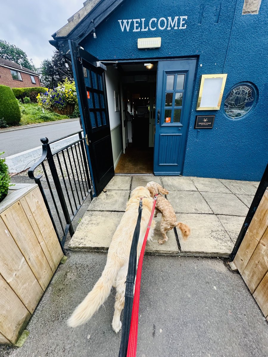 Ian Gee (@iangee19) on Twitter photo Not the prettiest or most ornate door that’ll posted on this #AdoorableThursday but it’s Rico and Molly’s favourite door…..the entrance to The Ship in Redmarshall, where they like to mix with the locals most afternoons and enjoy preferential treatment. <a href="/ThePhotoHour/">#ThePhotoHour</a> Not the prettiest or most ornate door that’ll posted on this #AdoorableThursday but it’s Rico and Molly’s favourite door…..the entrance to The Ship in Redmarshall, where they like to mix with the locals most afternoons and enjoy preferential treatment. <a href="/ThePhotoHour/">#ThePhotoHour</a>