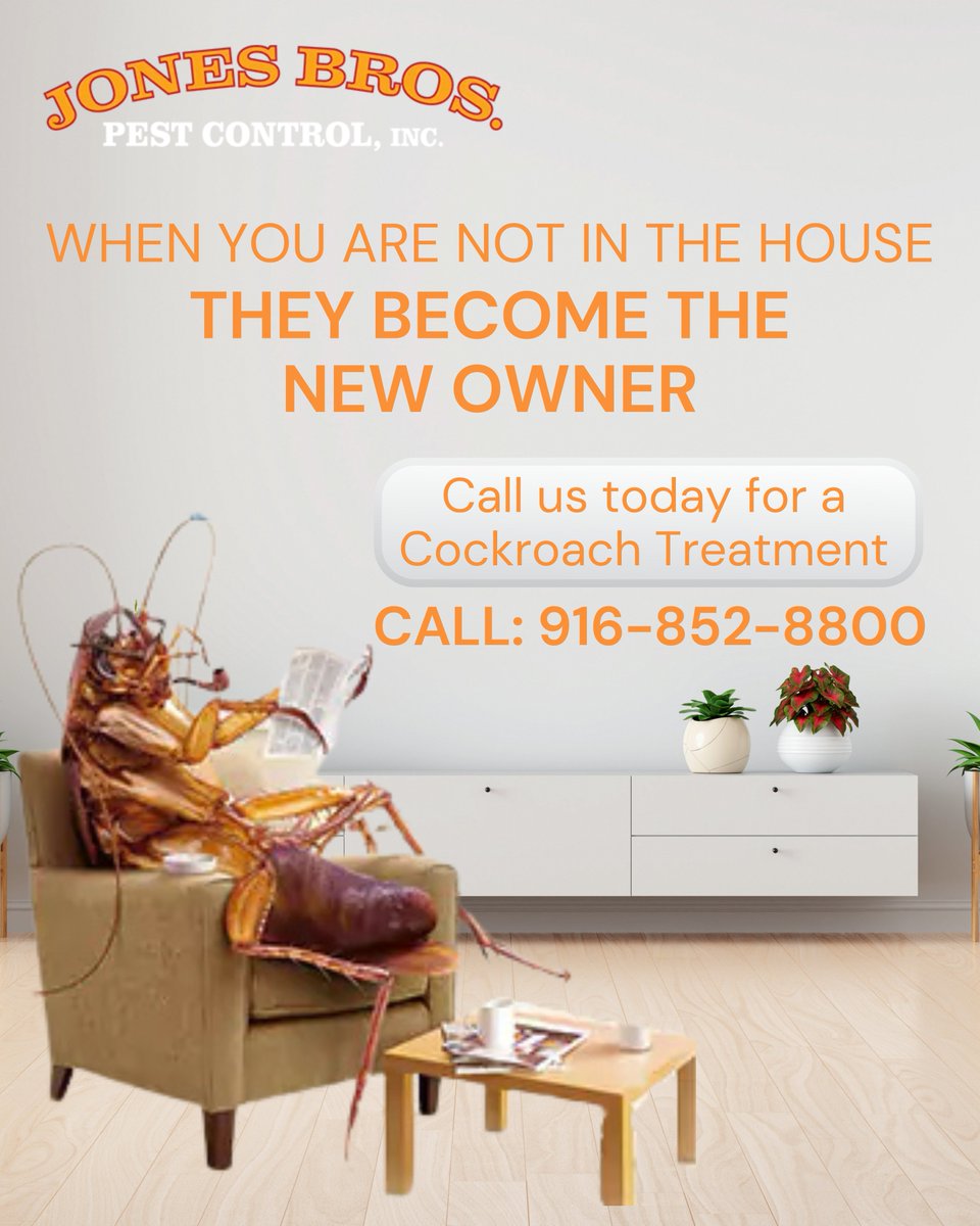 Jones Brothers Pest Control (@jonesbrospest) on Twitter photo Cockroaches spread bacteria and trigger allergies, especially in kitchens and bathrooms.💥
 
CALL US: (916) 852-8800
Visit: jonesbrospc.com
#pestcontrolinsacramento
#bestpestcontrolinsacramento
#pestcontrolexpert #affordablepestcontrol #CockroachExterminator Cockroaches spread bacteria and trigger allergies, especially in kitchens and bathrooms.💥
 
CALL US: (916) 852-8800
Visit: jonesbrospc.com
#pestcontrolinsacramento
#bestpestcontrolinsacramento
#pestcontrolexpert #affordablepestcontrol #CockroachExterminator