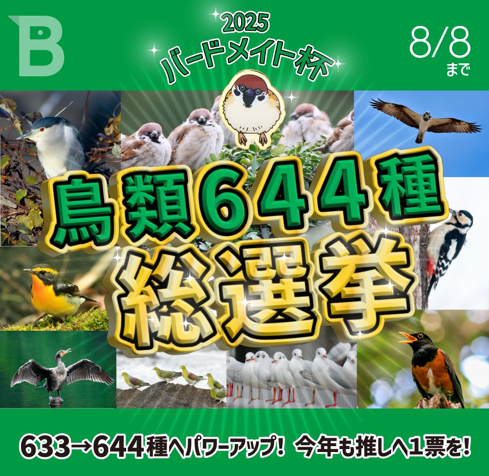 日本野鳥の会バードメイト (@Birdmate_WBSJ) / X