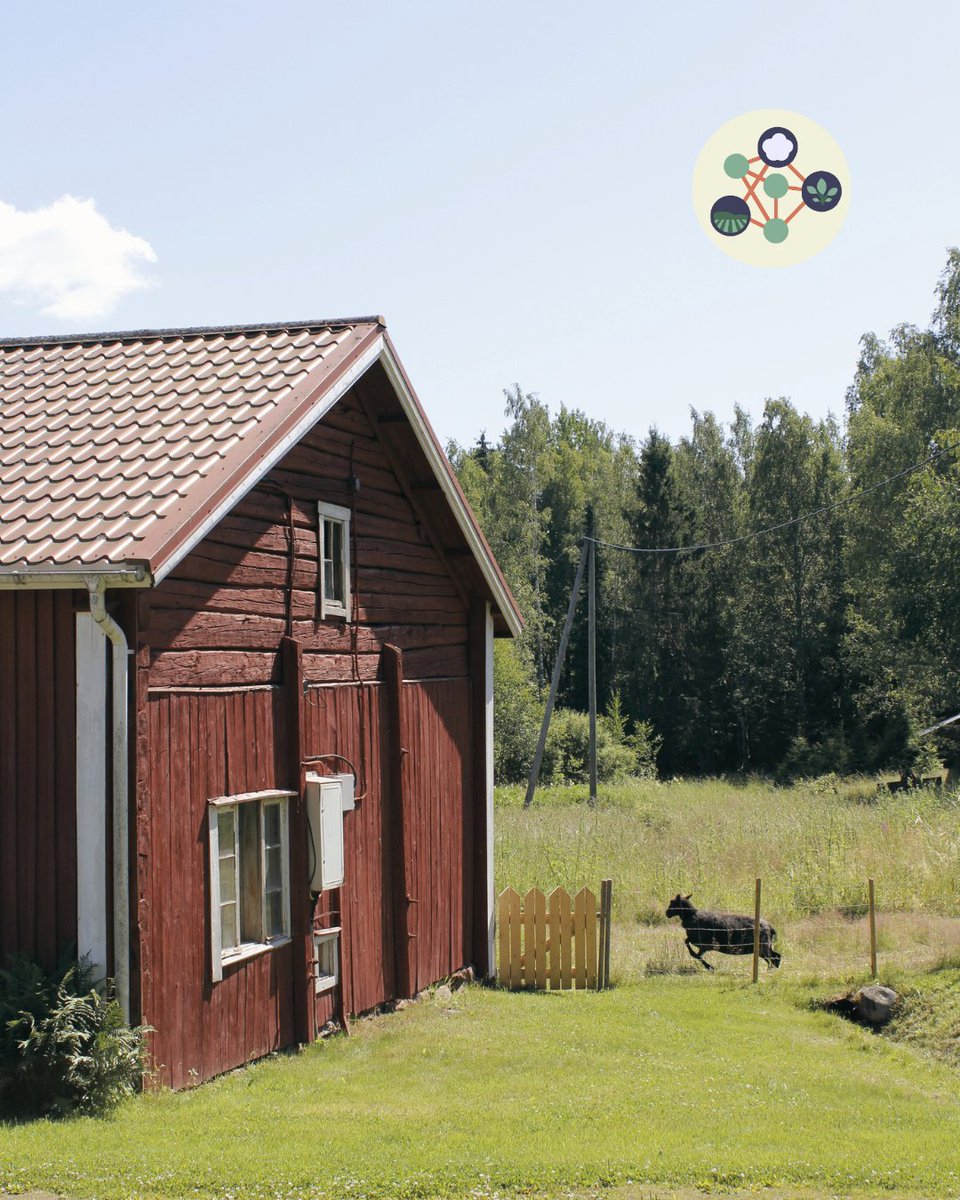 OrgClimateNET's tweet image. 🌿 Just back from 3 days in Finland with #OrganicClimateNET! We visited 3 inspiring organic farms using, sustainable practices to fight climate change—plus soil talks, local food &amp;amp; a smoke sauna 🧖‍♂️🔥.

👉 Read the full story: organicclimatenet.eu/organicclimate…