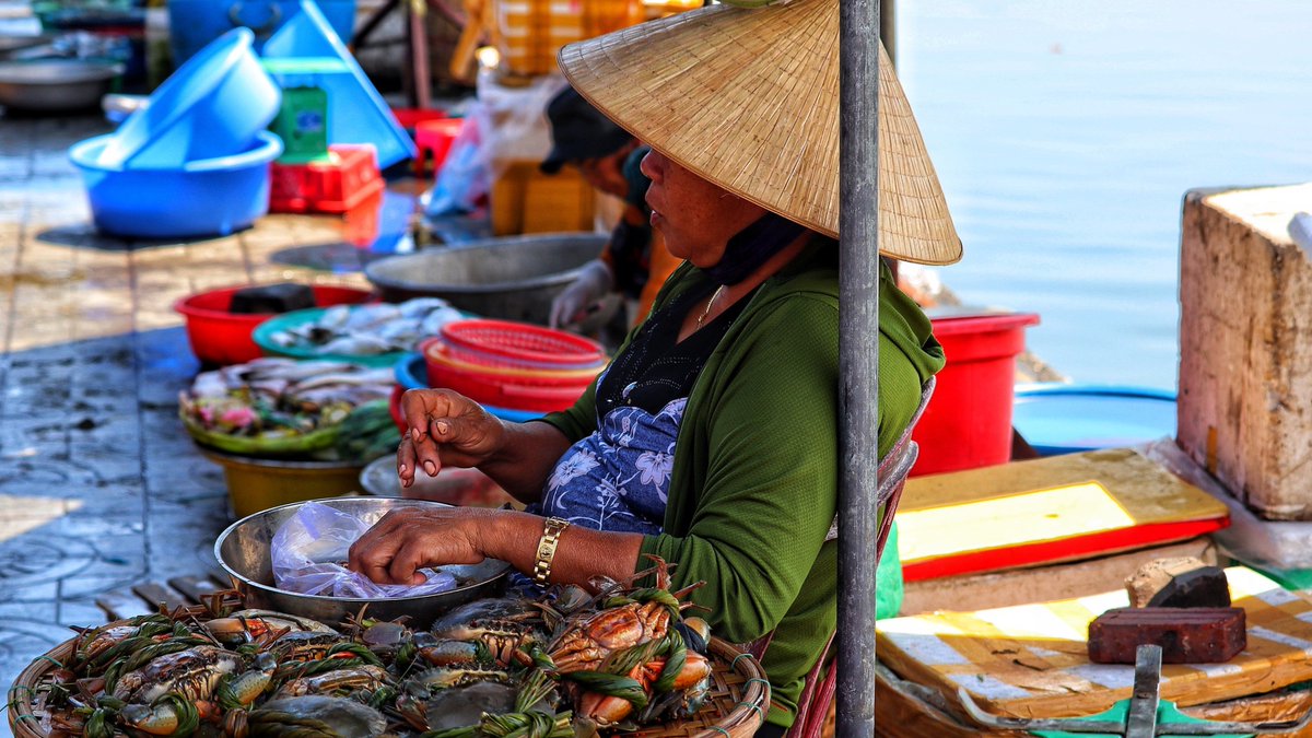 WorldFishCenter's tweet image. 🚨 A new paper offers a groundbreaking framework for understanding how #climatechange intersects with decent work in industrial #fisheries.
And while climate and fisheries models are improving, there’s still a gap in governance. Read more: tinyurl.com/WFNews2507i
#AquaticFoods