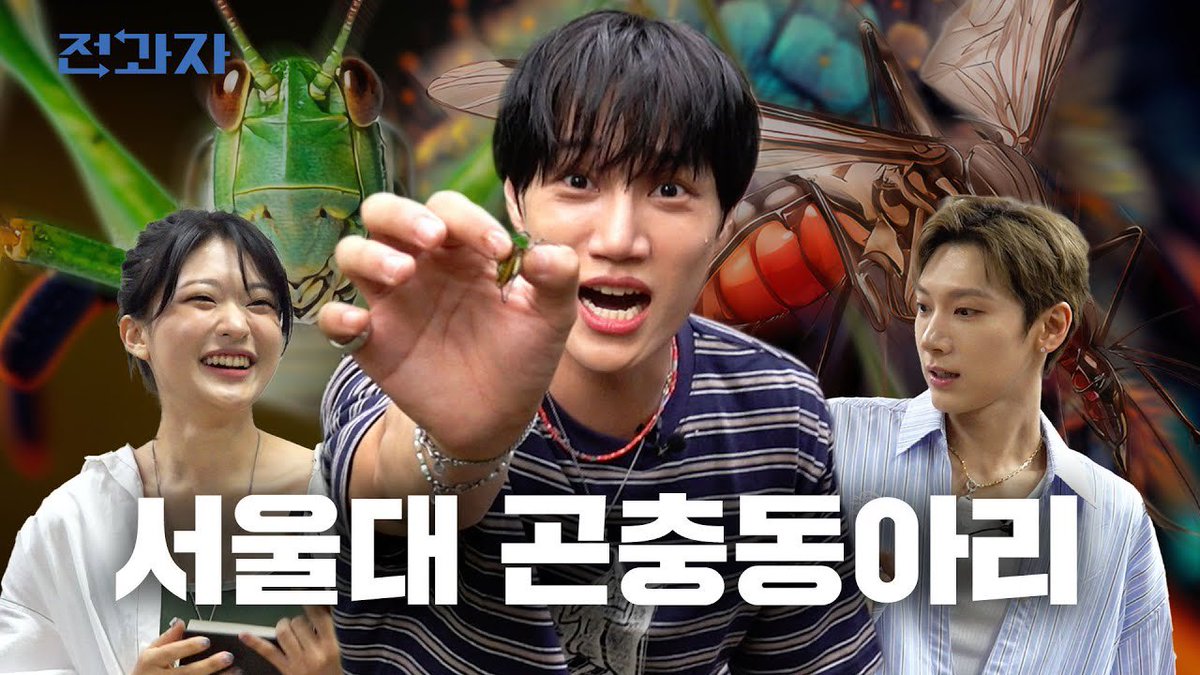kaiarchived's tweet image. [VIDEO] 250724 ootb studio channel update

The easiest way to enter SNU [SNU Insect Club] | Jeongwaja
🔗: youtu.be/AkXtLK-dduY?si…

ENG subs available! 👍
#KAI #카이 #カイ #金钟仁  
#엑소카이 @weareoneEXO