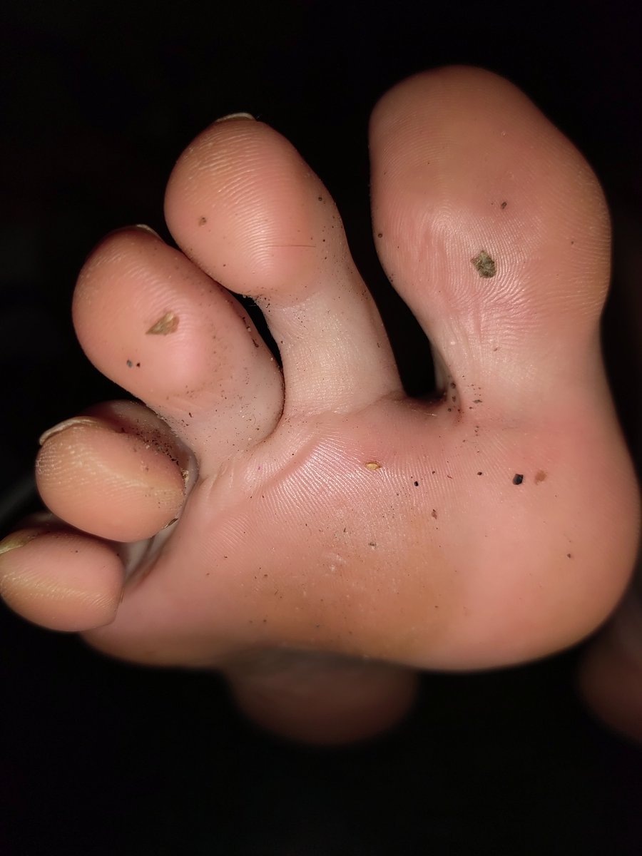 patreon.com/posts/13483792…