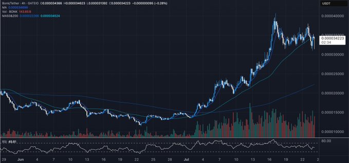 BONK cryptocurrency price chart showing recent trends