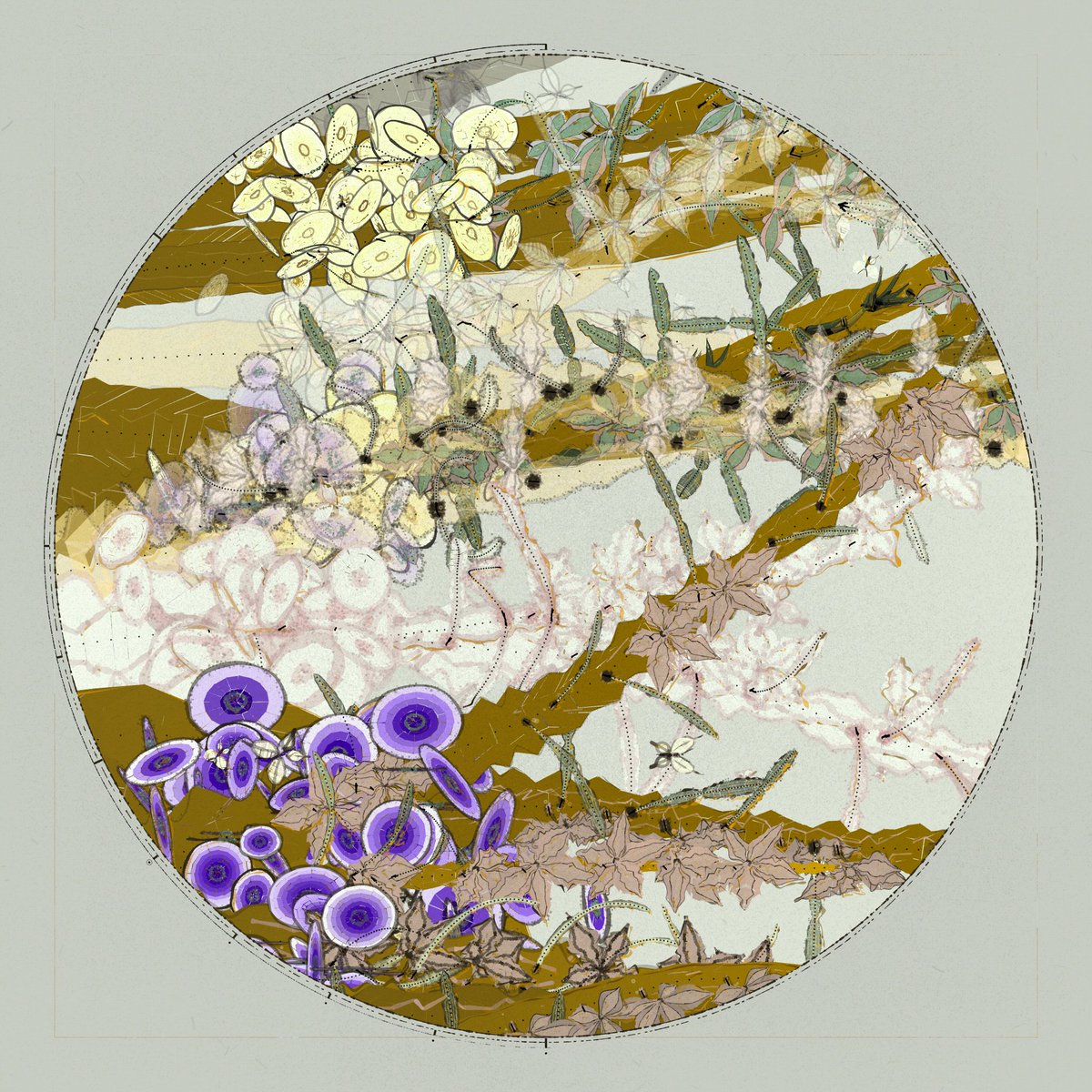 acamposuribe's tweet image. gm
I've been playing with Polypaths by @IOivm
Great way of allowing collectors to explore the algorithm beyond re-rolling. There's real agency here.
In the same ethos of what I tried with Pensado a Mano
Congratulations for an amazing project, AluanWang!