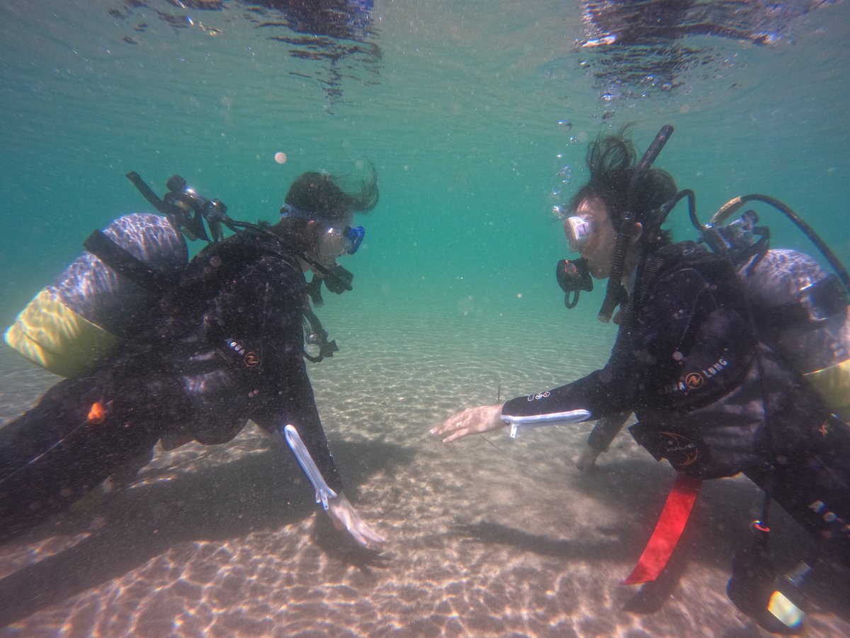 umizono's tweet image. 今日はCカード取得コース海洋1日目
天候 海況共に超いぃ~感じです。
①②羽尾旧突堤 水温27度(水深5m)透視度10~15m
今シーズン初のCカード取得コース!順調にスキルは進んでます。2日目(最終日)はまた来週。#鳥取県 #岩美町 #羽尾 #ダイビング