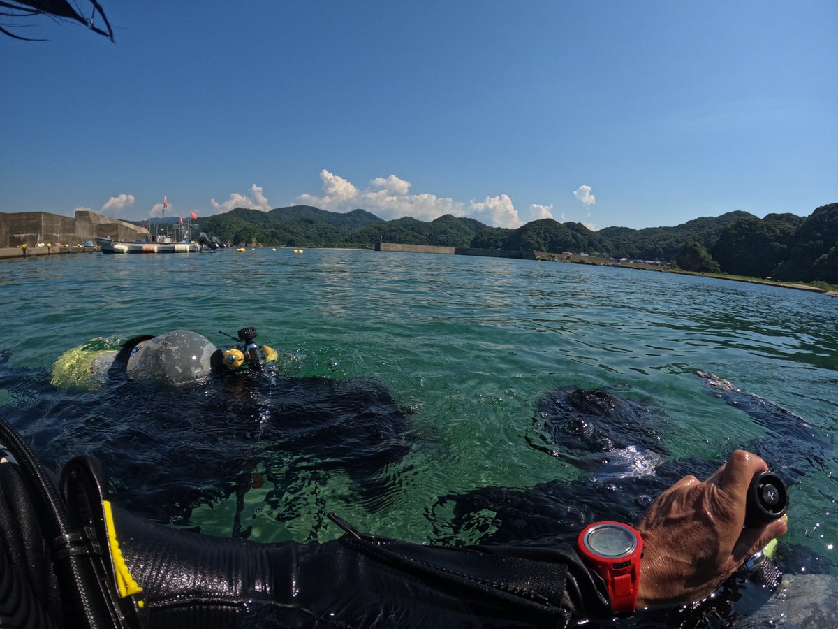 umizono's tweet image. 今日はCカード取得コース海洋1日目
天候 海況共に超いぃ~感じです。
①②羽尾旧突堤 水温27度(水深5m)透視度10~15m
今シーズン初のCカード取得コース!順調にスキルは進んでます。2日目(最終日)はまた来週。#鳥取県 #岩美町 #羽尾 #ダイビング