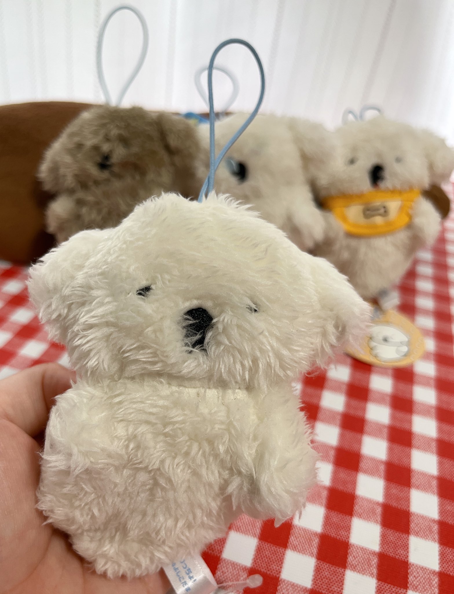 ふとっちょプーページ♥️ じっぽ🐺 (@3756c) / X