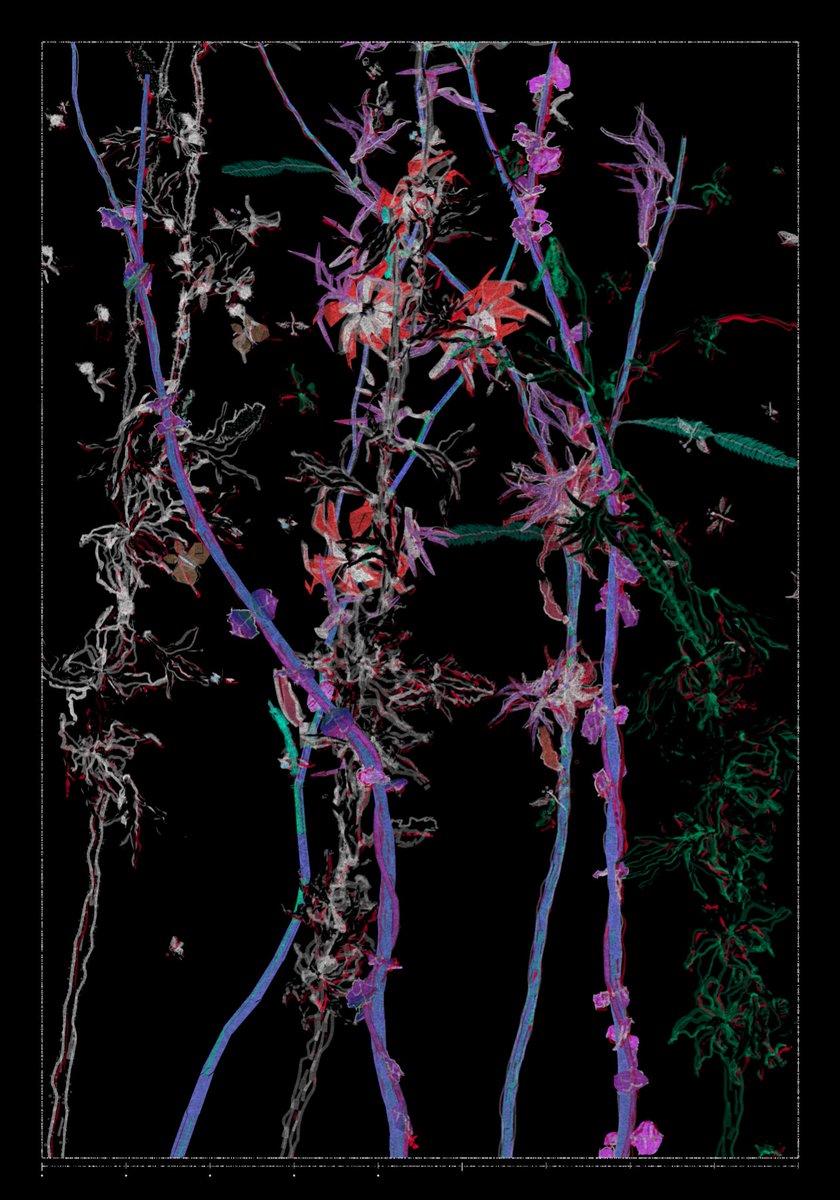acamposuribe's tweet image. gm
I've been playing with Polypaths by @IOivm
Great way of allowing collectors to explore the algorithm beyond re-rolling. There's real agency here.
In the same ethos of what I tried with Pensado a Mano
Congratulations for an amazing project, AluanWang!