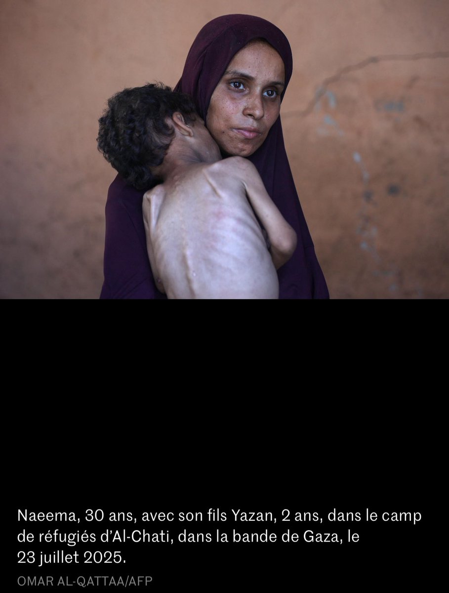 JulienAubert84's tweet image. De telles images en 2025 sont choquantes. Le démantèlement du #Hamas à #Gaza ne peut être qu’au service d’une ambition politique. Cela suppose de garantir le maintien aujourd’hui comme demain à Gaza de la population palestinienne. Cela implique de la préserver au maximum du…