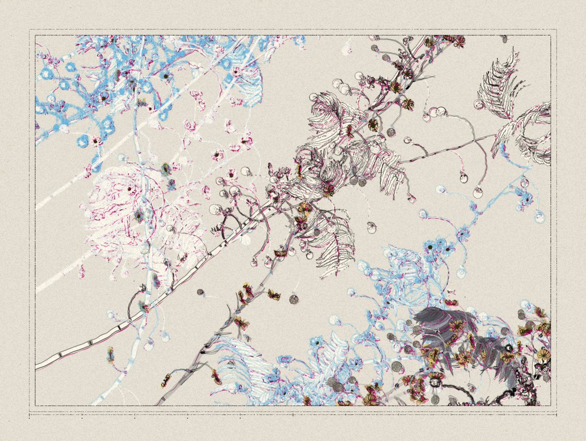 acamposuribe's tweet image. gm
I've been playing with Polypaths by @IOivm
Great way of allowing collectors to explore the algorithm beyond re-rolling. There's real agency here.
In the same ethos of what I tried with Pensado a Mano
Congratulations for an amazing project, AluanWang!