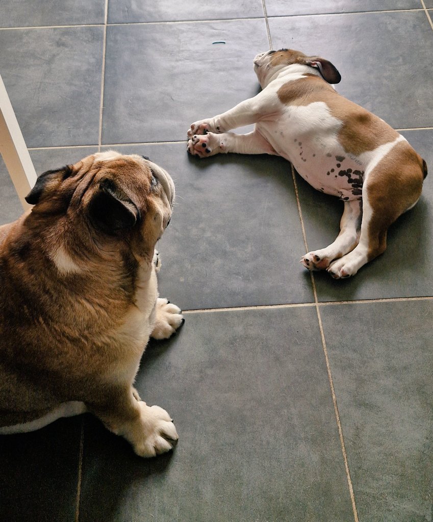 "Voilà p'tit gars fait une bonne sieste. On a tous besoin que tu dormes"