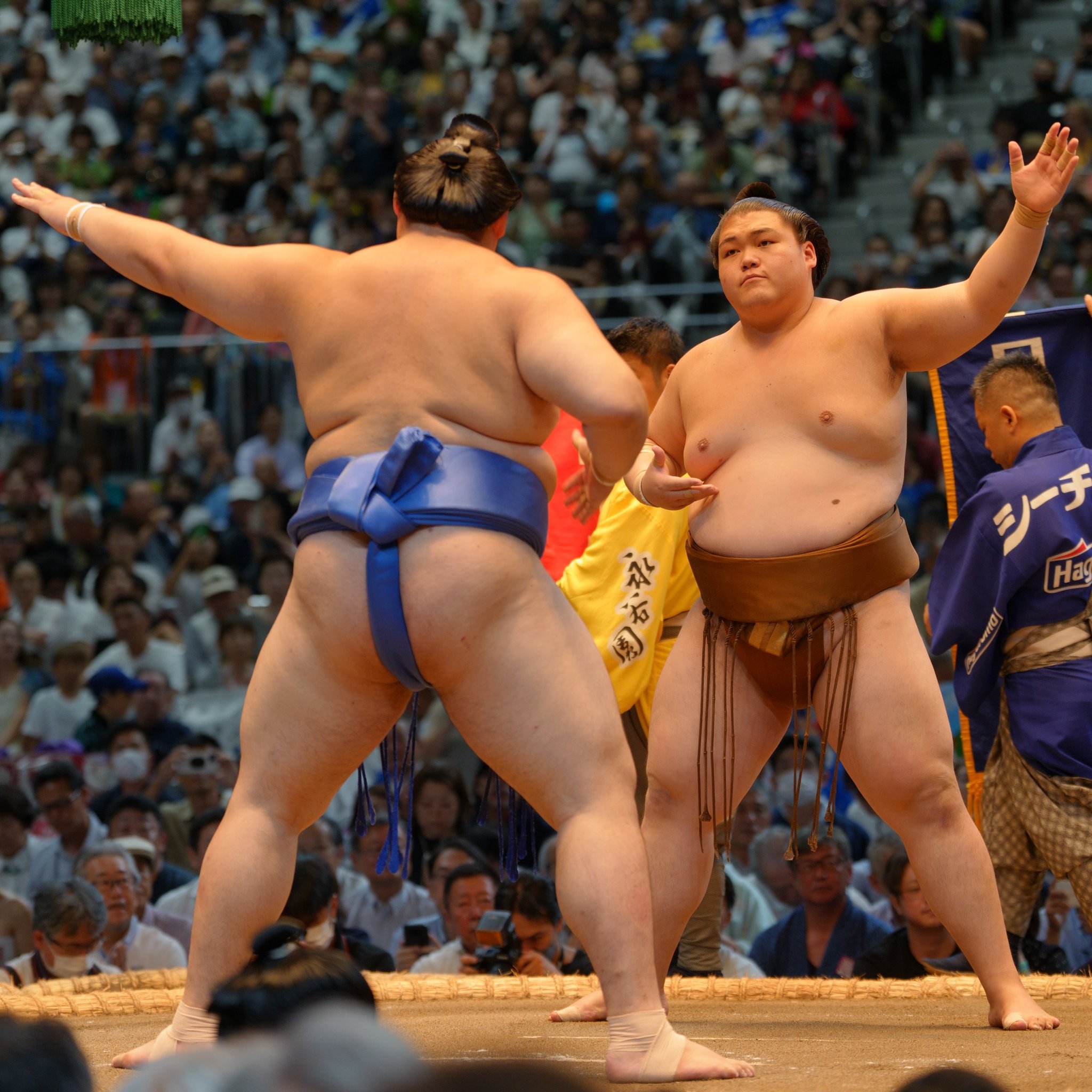 相撲ゆかた　大鵬　★名古屋場所開催中特別価格★ 81qrYZ+rFRL._UF350,350_QL50_.jpg