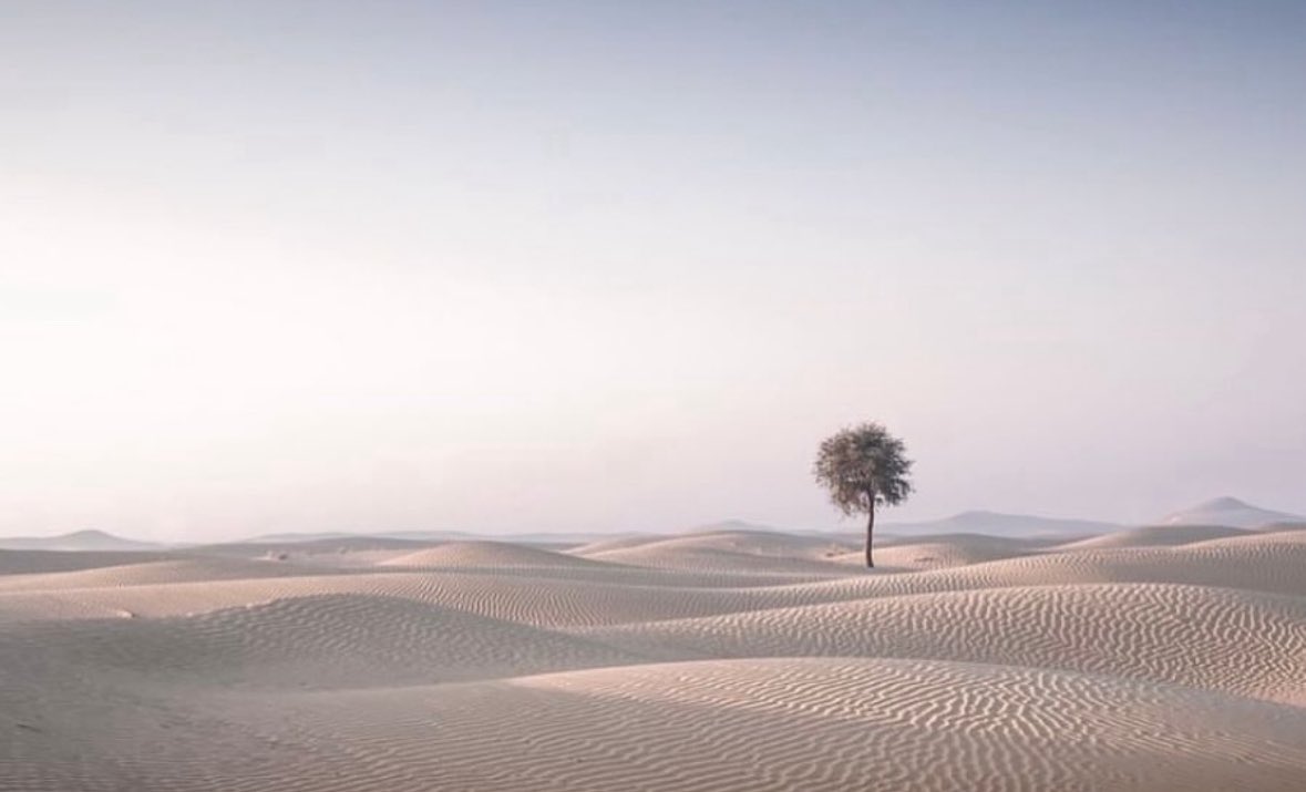 Today’s featured image is ‘Rooted in silence’ by Instagrammer chrissytoddphotography 

chrissytodd.net

#sheclicksnet #femalephotographers #women #womenphotographerscommunity #photography #femalephotographer #landscapephotography #landscape #desert #desertscape #tree