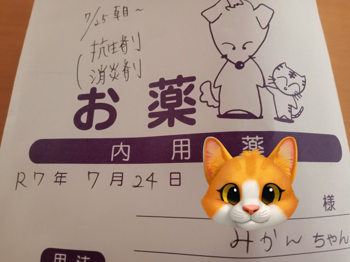 今朝「はて？床に苺ジャムが落ちてる？」って拭いたら、みかんちゃんのお尻から出た血が混じった粘液だった😣
仕事中も気が気じゃなくて、終わってすぐに病院へ。
💩関係ではなさそうで、軽い膀胱炎かも。💉して💊をもらってきました。
かーさん心配😿
おくしゅり💊ちゃんとのんでげんきになってね