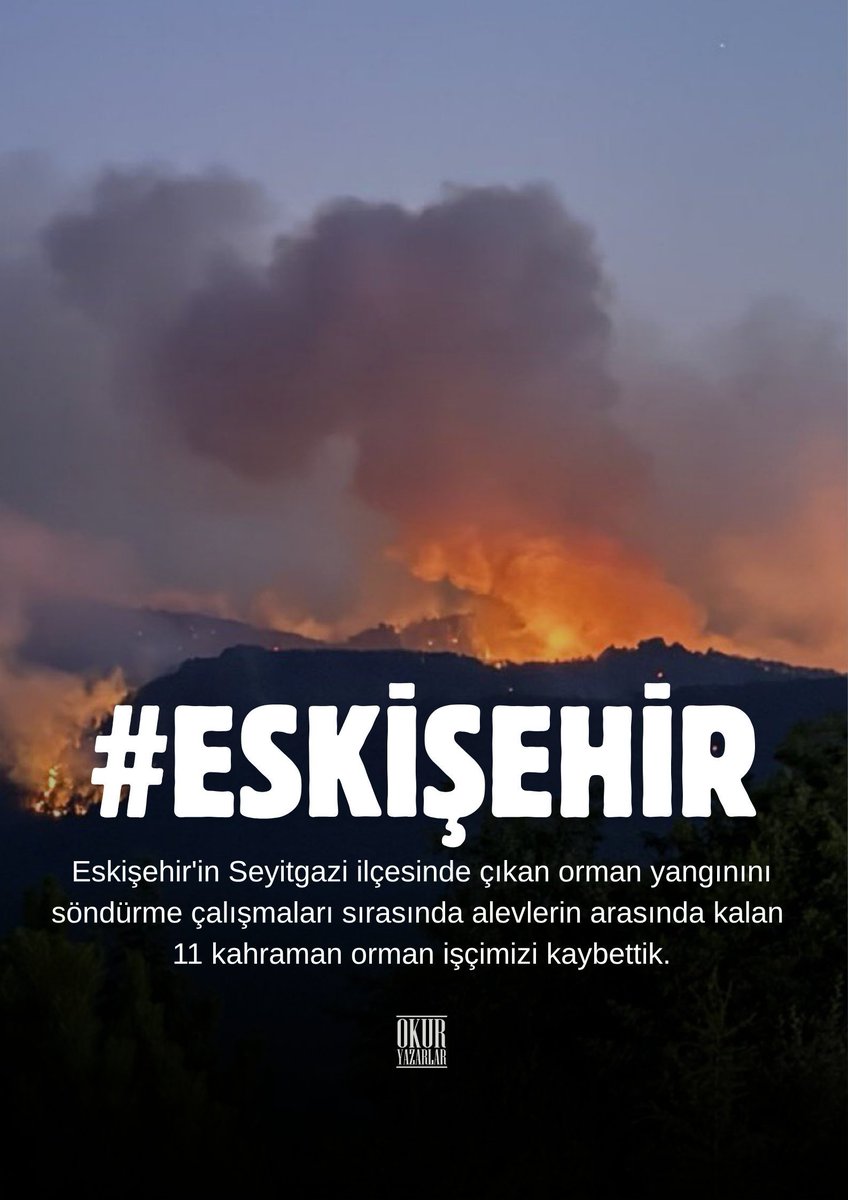 Artan sıcaklıklar, insanlarımızın bilinçsizce etrafa attıkları cam şişeler, piknik alanlarında tam söndürülmeyen ateşlerden ötürü bunlarla karşılaşıyoruz. Yaşamını yitirenlere Allah'tan rahmet diliyorum. Daha fazla itfaiyeci,  yangın söndürme uçağı ve bilinçli insanlar bize lazım