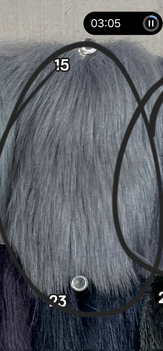 SaberCoded's tweet image. FURSUIT MAKERS!! I need help finding these two furs! or some similar! both are out of stock / discontinued, for the grey im looking for something slightly more purple/blue !!