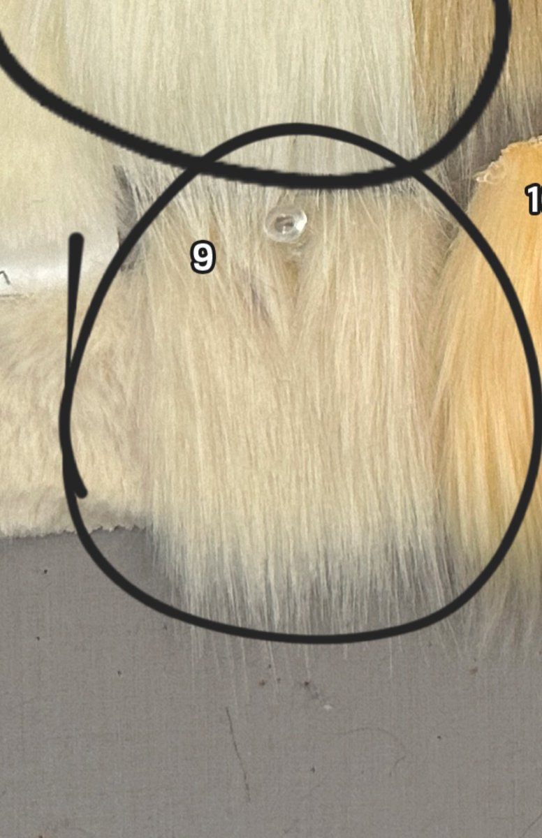 SaberCoded's tweet image. FURSUIT MAKERS!! I need help finding these two furs! or some similar! both are out of stock / discontinued, for the grey im looking for something slightly more purple/blue !!