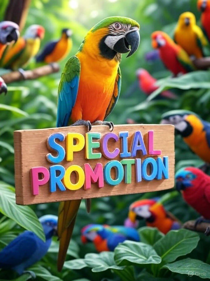 Ali Asad (@11iasd) on Twitter photo #ملک_پرموشن
ProMo💢
<a href="/11iasd/">Ali Asad</a>
<a href="/01Mllik/">𝙈𝘼𝙇𝙄𝙆 𝙅𝙄💫💙</a>
<a href="/1arshd/">𝗔𝗿𝘀𝗵𝗱 𝗠𝗹𝗶𝗸💫👑</a>
🍃<a href="/01rshd/">ارشـــد مــلــک❤️</a>
<a href="/111mn1/">🐬آمنہ ملک🦋</a>
<a href="/1Arshii/">𝓐𝓻𝓼𝓱𝓲𝓪 🌸💫</a>
<a href="/sehr_ik/">سحر ملک 🦋🦋</a>
🍃<a href="/guljnt/">گُل جنت🌷</a>
<a href="/Ghz35/">🇬 🇭 🇦 🇿 🇦 🇱 🇦 🇭</a>
<a href="/0Hyyat/">حیات فاطمہ ✨</a>
<a href="/0Sehrr/">سحر ملک 🕊️🦋</a>
🍃<a href="/glmsjd/">𝑺𝒂𝒋𝒋𝒂𝒅 ✨</a>
<a href="/1fazl2/">فضـ𝓪𝓴𝓫𝓪𝓻ـل</a>
<a href="/1Sehar_/">𝐒ҽԋαʀ 👑</a>
<a href="/Znt31/">🦋Zeenat🦋</a>
🍃<a href="/1shobii/">SK</a>
<a href="/1sehr_/">𝐈𝐭'𝐬 𝐌𝐞 👑</a>
<a href="/NK_pti/">𝒜𝓏𝒶𝒹 🇵🇰</a>
<a href="/_S_m_4/">𝓢𝓪𝓭𝓲𝓪 𝓜𝓪𝓵𝓲𝓴</a>
🍃<a href="/ZK__35/">ZK</a>
<a href="/ze_kh1/">زینیـــہ خان❤</a>
<a href="/2Snbr/">𝓢𝓪𝓭𝓲𝓪 𝓜𝓪𝓵𝓲𝓴</a>
<a href="/1fzalI/">💓PTI ACCOUNTS PROMORTER💓</a>
🍃<a href="/1qqmr/">𝓦𝓐𝓐𝓓</a>
<a href="/Asjk2/">Muhammad Junaid Anwar</a>
<a href="/_zb_0/">زینبــــ </a>
<a href="/TP7i1/">★☯𝑩𝒉𝒂𝒊༒〄</a>
🍃<a href="/ait9t/">꧁Farah🕊️ᴾᵃᵏᴾᵒʷᵉʳ</a>
<a href="/_1rhe/">شازیہ</a>
<a href="/Punj143/">𝓙𝓾𝓽𝓽 💕 🇵🇰</a>
<a href="/Hurain_5/">Hurain 💞حورین</a> #ملک_پرموشن
ProMo💢
<a href="/11iasd/">Ali Asad</a>
<a href="/01Mllik/">𝙈𝘼𝙇𝙄𝙆 𝙅𝙄💫💙</a>
<a href="/1arshd/">𝗔𝗿𝘀𝗵𝗱 𝗠𝗹𝗶𝗸💫👑</a>
🍃<a href="/01rshd/">ارشـــد مــلــک❤️</a>
<a href="/111mn1/">🐬آمنہ ملک🦋</a>
<a href="/1Arshii/">𝓐𝓻𝓼𝓱𝓲𝓪 🌸💫</a>
<a href="/sehr_ik/">سحر ملک 🦋🦋</a>
🍃<a href="/guljnt/">گُل جنت🌷</a>
<a href="/Ghz35/">🇬 🇭 🇦 🇿 🇦 🇱 🇦 🇭</a>
<a href="/0Hyyat/">حیات فاطمہ ✨</a>
<a href="/0Sehrr/">سحر ملک 🕊️🦋</a>
🍃<a href="/glmsjd/">𝑺𝒂𝒋𝒋𝒂𝒅 ✨</a>
<a href="/1fazl2/">فضـ𝓪𝓴𝓫𝓪𝓻ـل</a>
<a href="/1Sehar_/">𝐒ҽԋαʀ 👑</a>
<a href="/Znt31/">🦋Zeenat🦋</a>
🍃<a href="/1shobii/">SK</a>
<a href="/1sehr_/">𝐈𝐭'𝐬 𝐌𝐞 👑</a>
<a href="/NK_pti/">𝒜𝓏𝒶𝒹 🇵🇰</a>
<a href="/_S_m_4/">𝓢𝓪𝓭𝓲𝓪 𝓜𝓪𝓵𝓲𝓴</a>
🍃<a href="/ZK__35/">ZK</a>
<a href="/ze_kh1/">زینیـــہ خان❤</a>
<a href="/2Snbr/">𝓢𝓪𝓭𝓲𝓪 𝓜𝓪𝓵𝓲𝓴</a>
<a href="/1fzalI/">💓PTI ACCOUNTS PROMORTER💓</a>
🍃<a href="/1qqmr/">𝓦𝓐𝓐𝓓</a>
<a href="/Asjk2/">Muhammad Junaid Anwar</a>
<a href="/_zb_0/">زینبــــ </a>
<a href="/TP7i1/">★☯𝑩𝒉𝒂𝒊༒〄</a>
🍃<a href="/ait9t/">꧁Farah🕊️ᴾᵃᵏᴾᵒʷᵉʳ</a>
<a href="/_1rhe/">شازیہ</a>
<a href="/Punj143/">𝓙𝓾𝓽𝓽 💕 🇵🇰</a>
<a href="/Hurain_5/">Hurain 💞حورین</a>