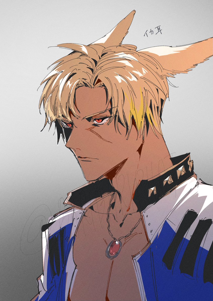 ハウブレくん