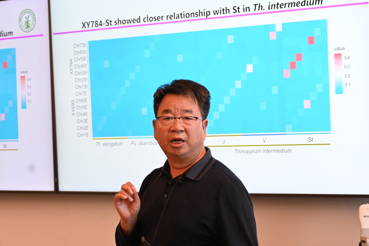 MU_CCFI_Biotech's tweet image. Great to have Prof Xueyong Zhang, Head of the Research Group of Wheat Gene Resources at the Institute of Crop Sciences at CAAS back in Perth.
Prof Zhang, an internationally renowned wheat geneticist and long-term CCFI collaborator, is up next to discuss one of wheat's most…