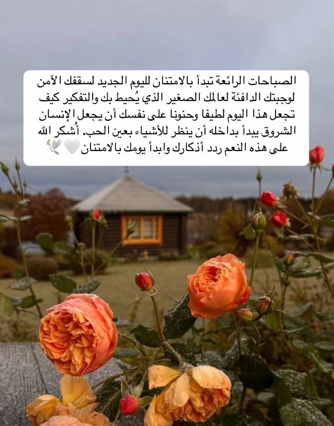 🎼🎵 (@l2yalim) on Twitter photo 