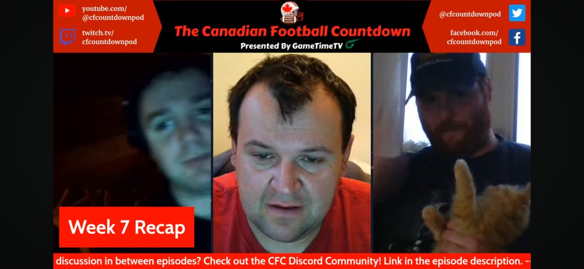 adamstuart1's tweet image. Reason #5243 to watch the @cfcountdownpod?

We have kittens on the show!!!! #cfl #podcast #Shenanigans #lilTiCats