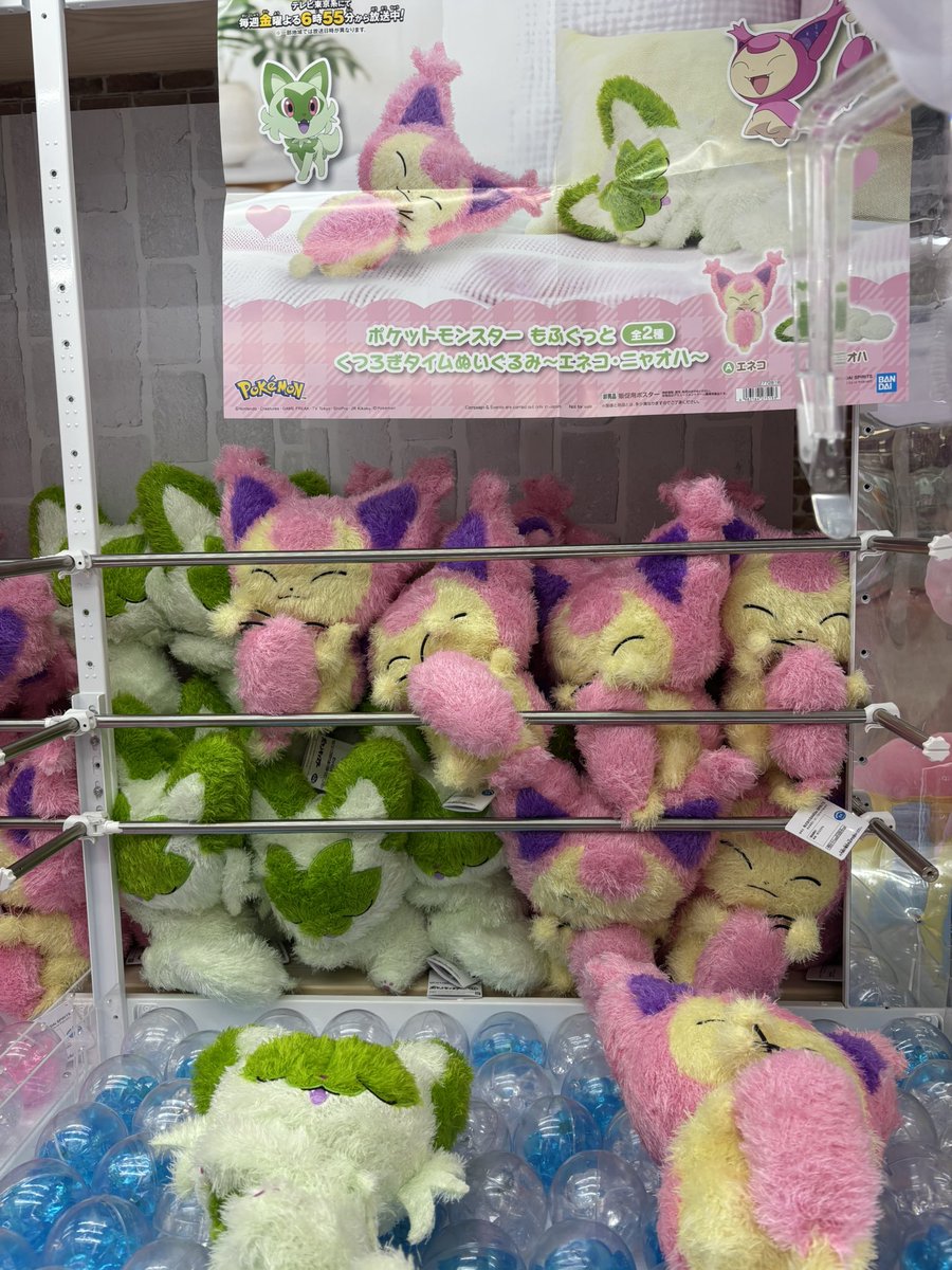 景品入荷情報 ポケットモンスターもふぐっと くつろぎタイムぬいぐるみ